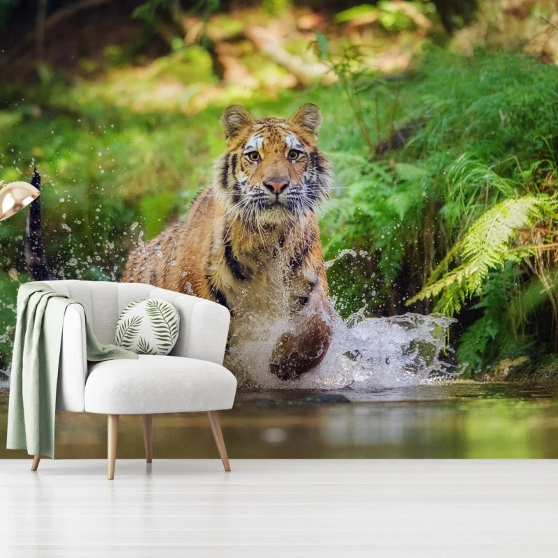 Wall mural majestic tiger in forest stream