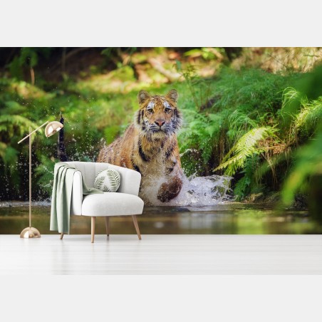 Wall mural majestic tiger in forest stream • Wallissimo®