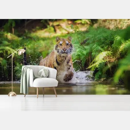 Wall mural majestic tiger in forest stream • Wallissimo®
