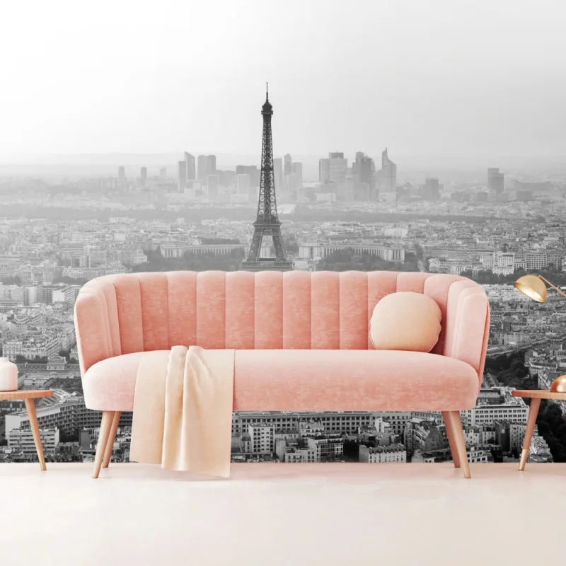 Wall mural elegant Eiffel Tower aerial skyline in grayscale