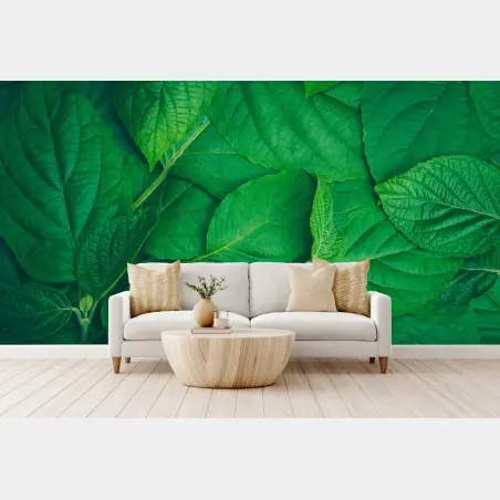 Wall mural lush green leaves texture • Wallissimo®