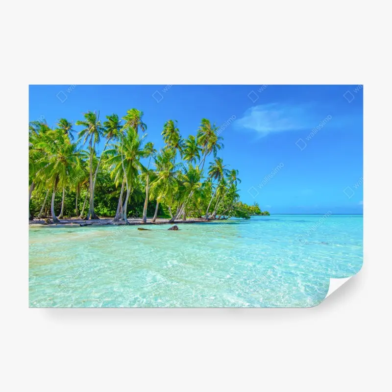 Wall mural • Wallissimo®