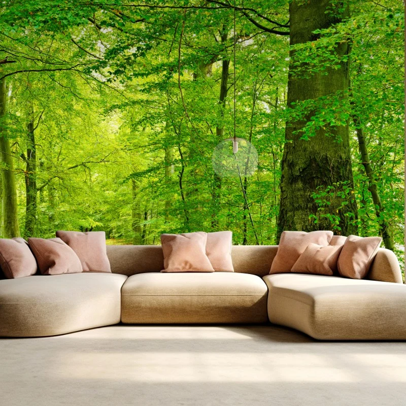 Wall mural serene green forest pathway