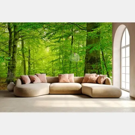 Wall mural serene green forest pathway • Wallissimo®