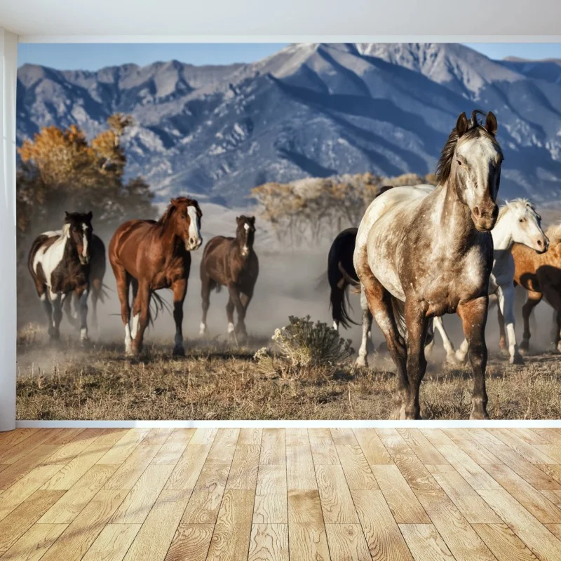 Wall mural wild horses running in a mountain meadow
