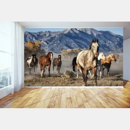 Wall mural wild horses running in a mountain meadow • Wallissimo®