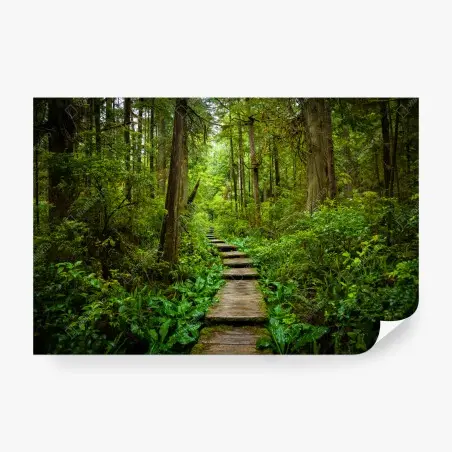 Wall mural serene forest boardwalk path • Wallissimo®