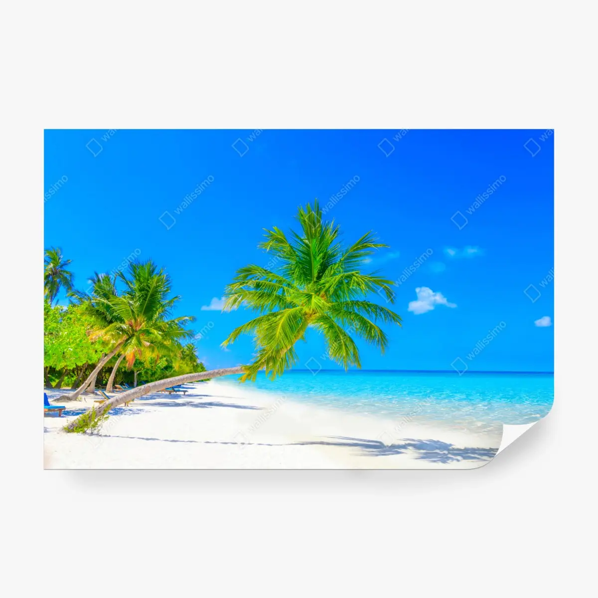 Wall mural beach paradise in Maldives • Wallissimo®