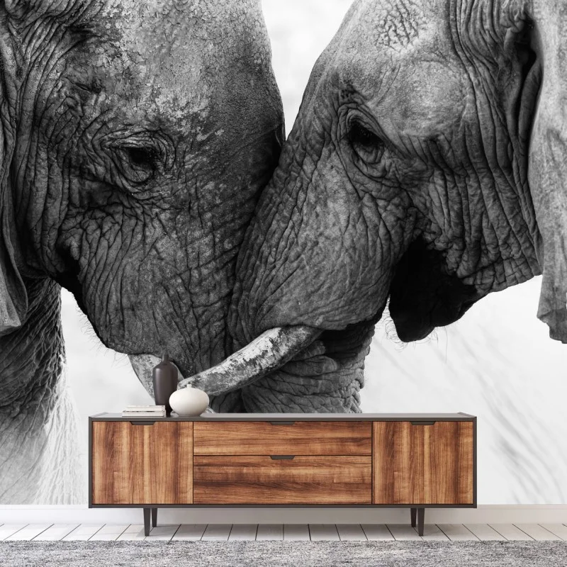 Wall mural elephant embrace black and white portrait