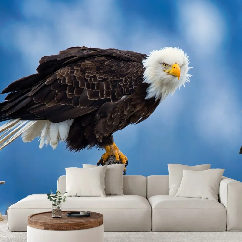 Wall mural majestic bald eagle portrait
