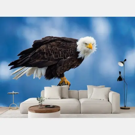 Wall mural majestic bald eagle portrait • Wallissimo®