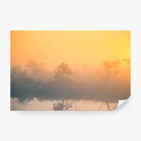Wall mural dreamy sunrise over a misty marsh • Wallissimo®