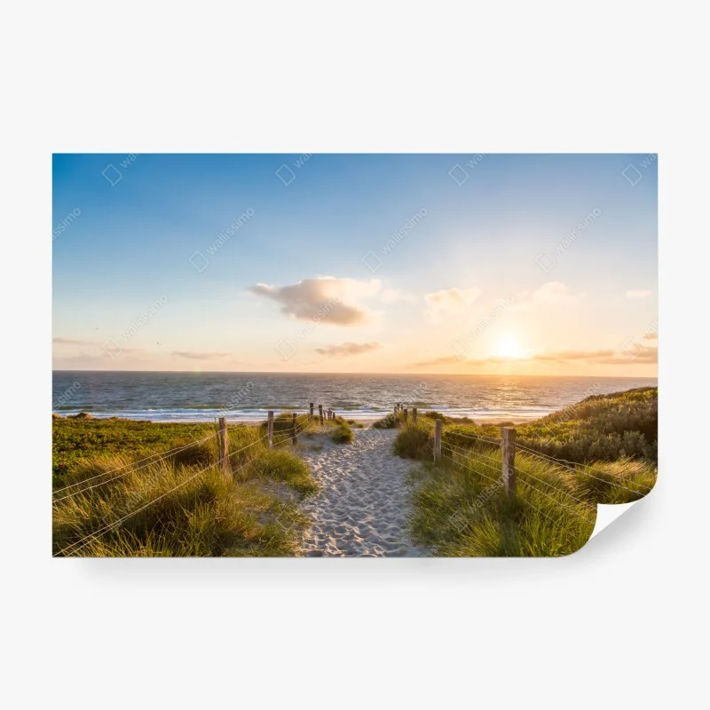 Wall mural sunlit beach path to the ocean ⁕ Wallissimo®