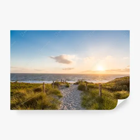 Wall mural sunlit beach path to the ocean • Wallissimo®