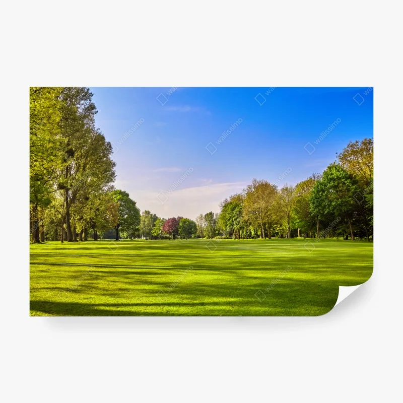 Wall mural sunlit city park panorama