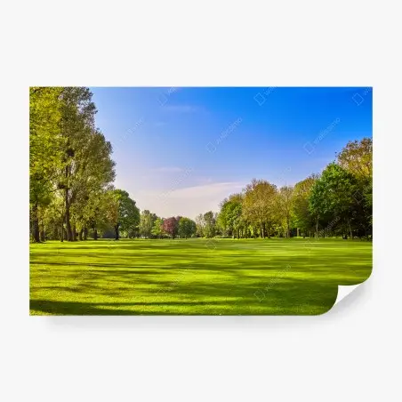 Wall mural sunlit city park panorama • Wallissimo®