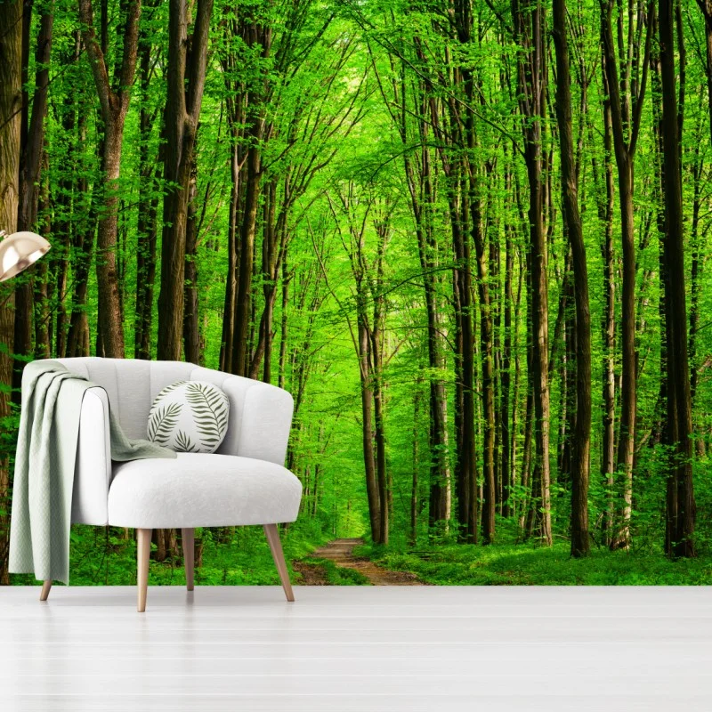 Wall mural lush green forest pathway