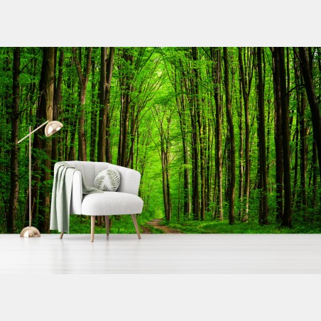Wall mural lush green forest pathway • Wallissimo®