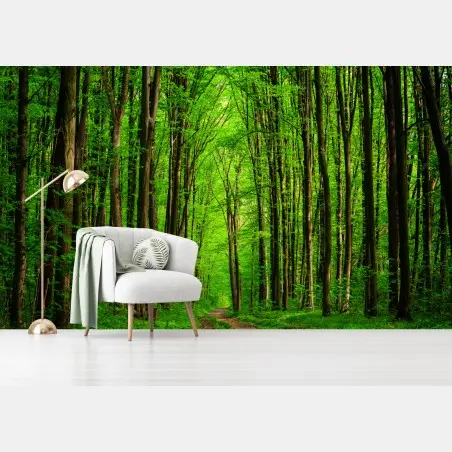 Wall mural lush green forest pathway • Wallissimo®