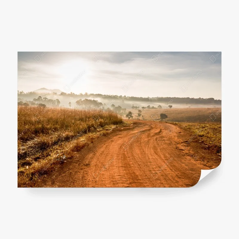 Wall mural morning dirt road in Thung Salaeng Luang