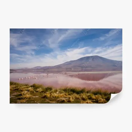 Wall mural pink lagoon with flamingos and mountain reflection • Wallissimo®