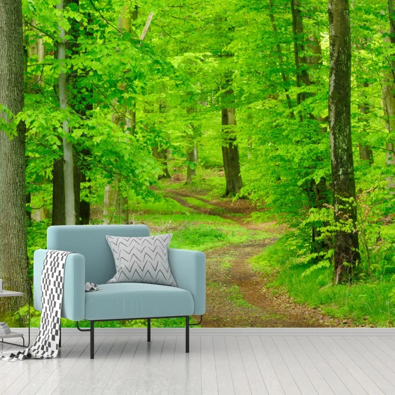 Wall mural serene forest path in spring