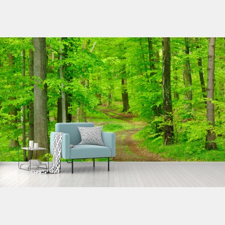 Wall mural serene forest path in spring • Wallissimo®