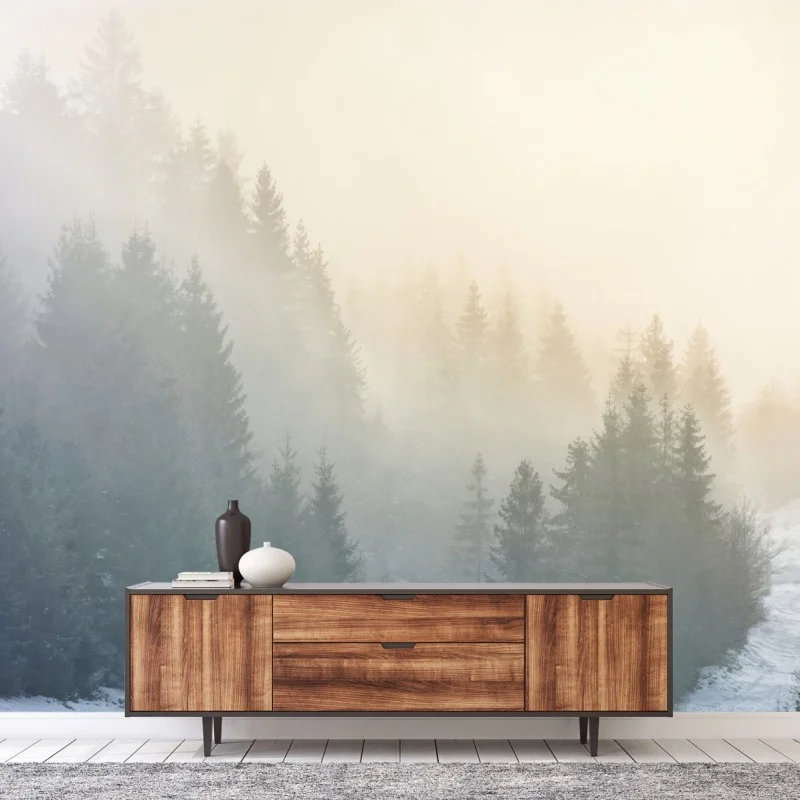 Wall mural misty spruce forest sunrise