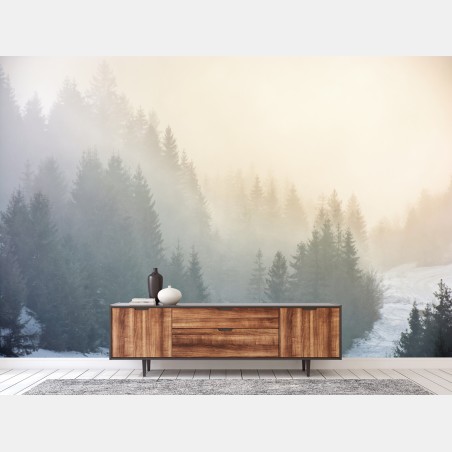 Wall mural misty spruce forest sunrise • Wallissimo®