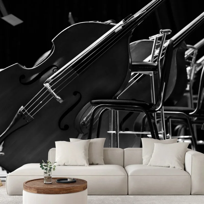 Wall mural monochrome double basses in orchestra