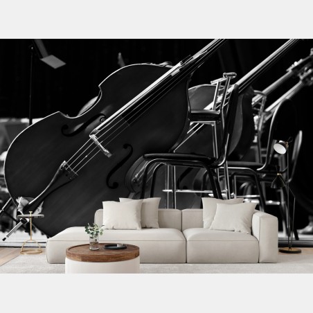 Wall mural monochrome double basses in orchestra • Wallissimo®