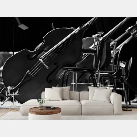 Wall mural monochrome double basses in orchestra • Wallissimo®