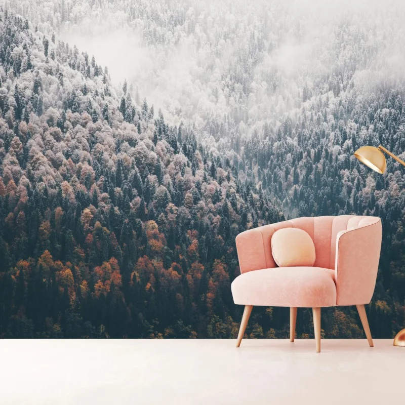 Wall mural misty autumn forest on snowy mountain