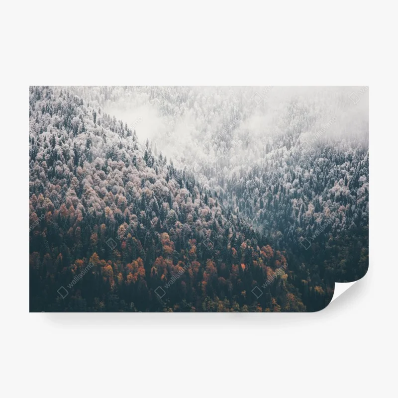 Wall mural misty autumn forest on snowy mountain