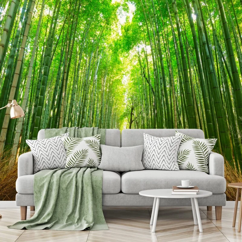 Wall mural tranquil bamboo path in Kyoto