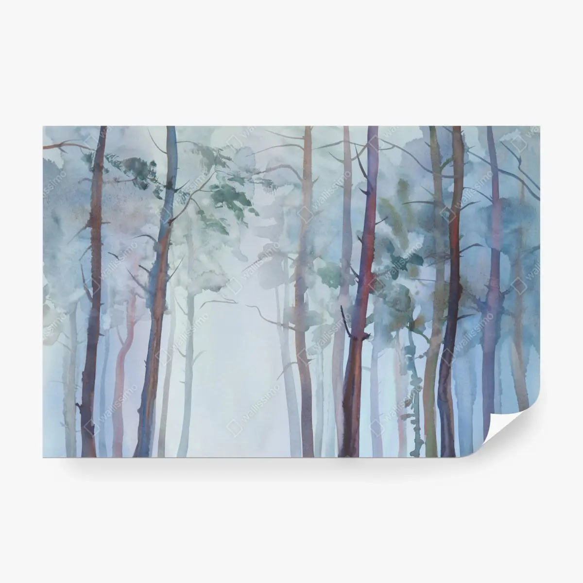 Wall mural misty watercolor forest landscape • Wallissimo®