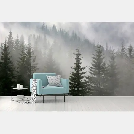 Wall mural misty pine forest at dawn • Wallissimo®