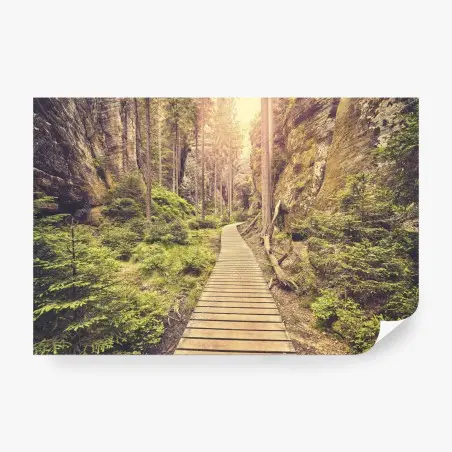 Wall mural sunlit wooden path in Adrspach Teplice • Wallissimo®