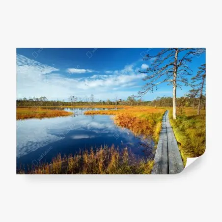 Wall mural autumn boardwalk over a tranquil bog • Wallissimo®