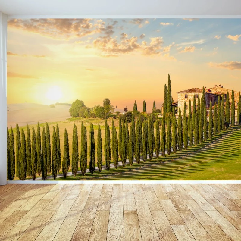 Wall mural Tuscany sunset cypress avenue