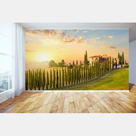 Wall mural Tuscany sunset cypress avenue • Wallissimo®