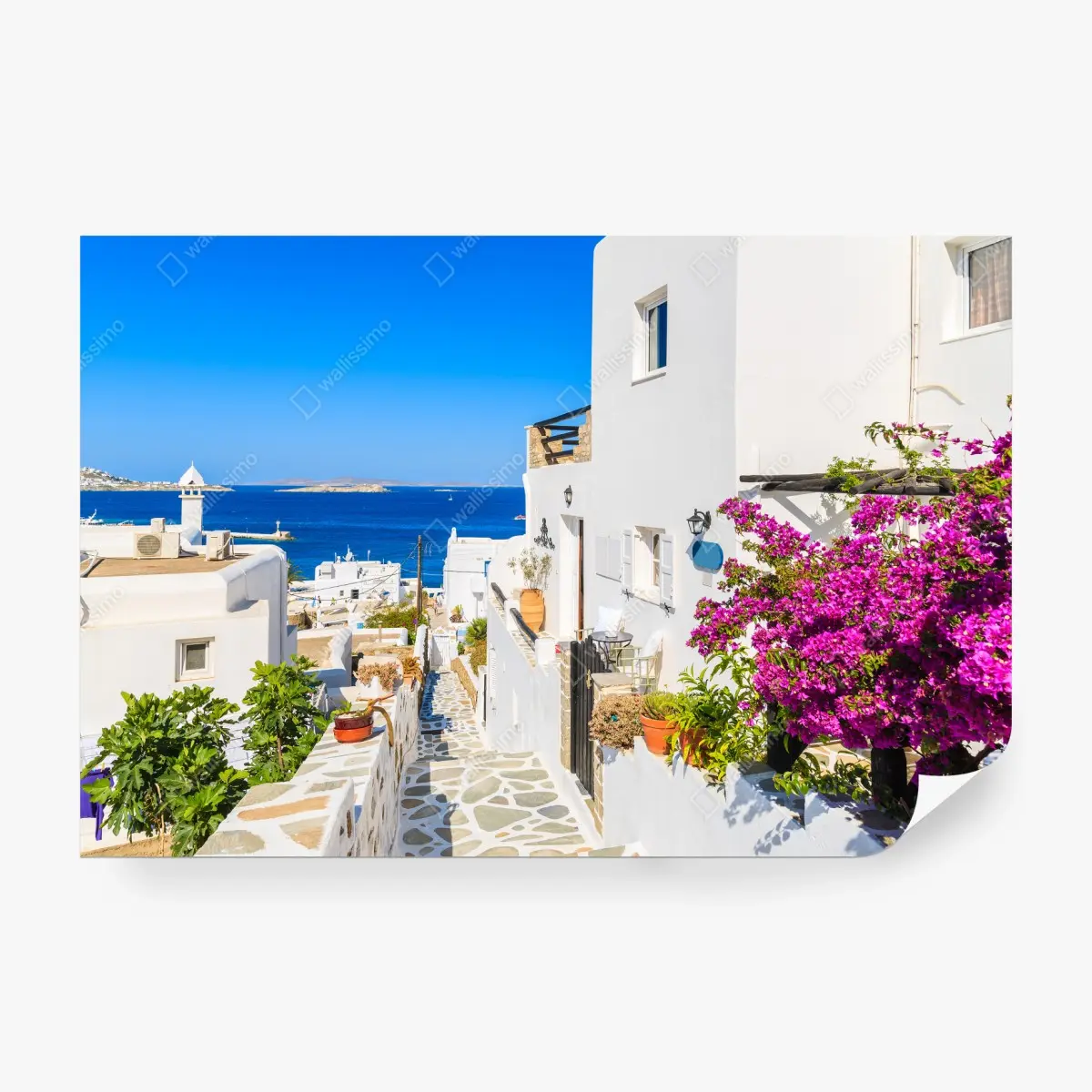 Wall mural sunlit lane in Mykonos • Wallissimo®