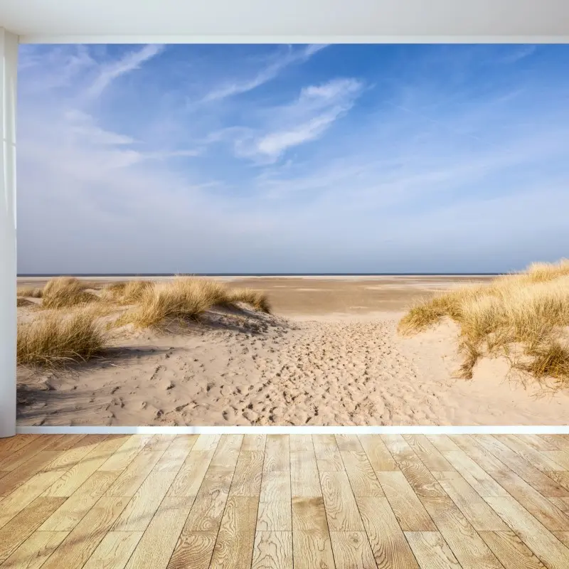Wall mural serene dunes at the German coast