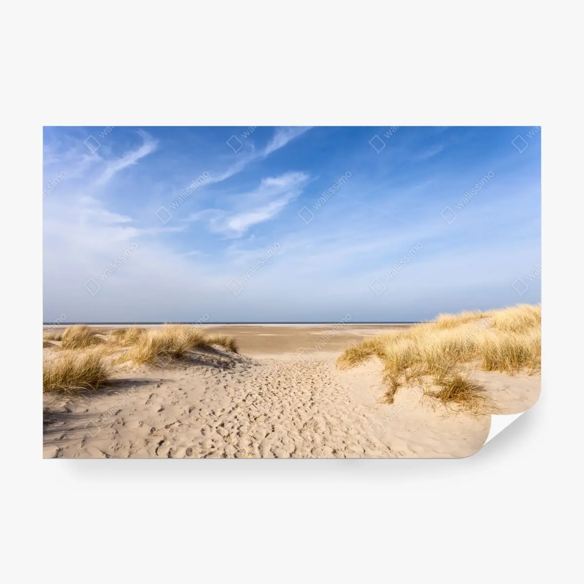 Wall mural serene dunes at the German coast ⁕ Wallissimo®