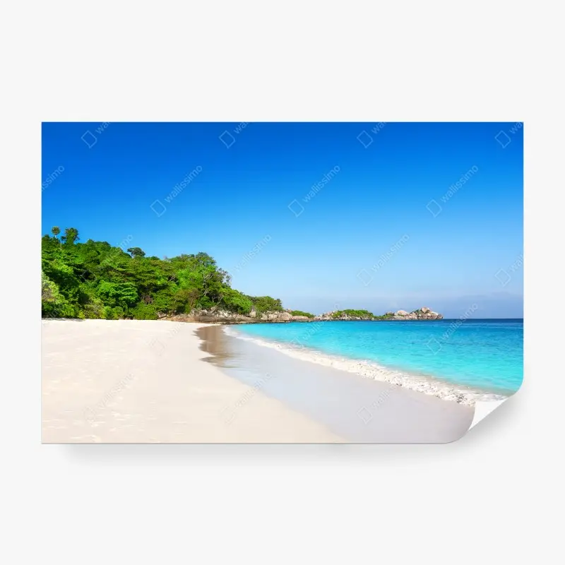 Wall mural • Wallissimo®