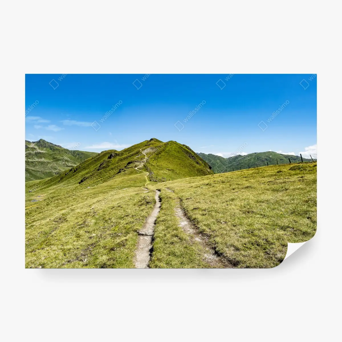 Wall mural winding hiking trail in Zillertal Alps • Wallissimo®