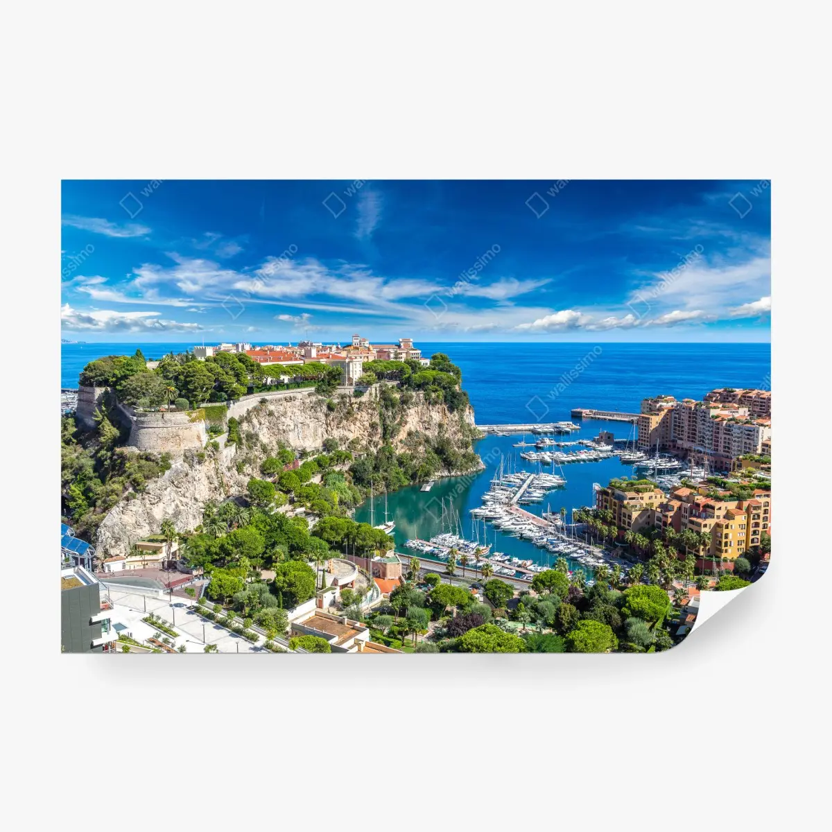 Wall mural panoramic view of Monte Carlo harbor • Wallissimo®