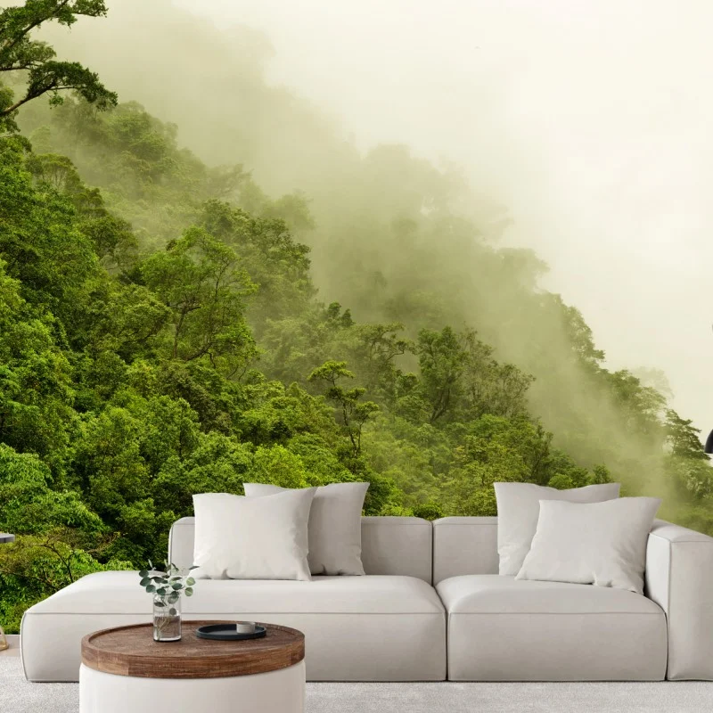 Wall mural misty rainforest near Cairns