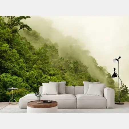 Wall mural misty rainforest near Cairns • Wallissimo®