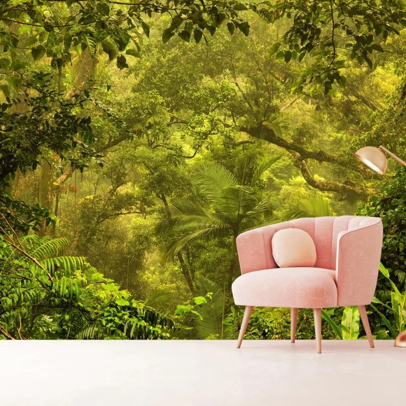 Wall mural lush rainforest canopy near Cairns